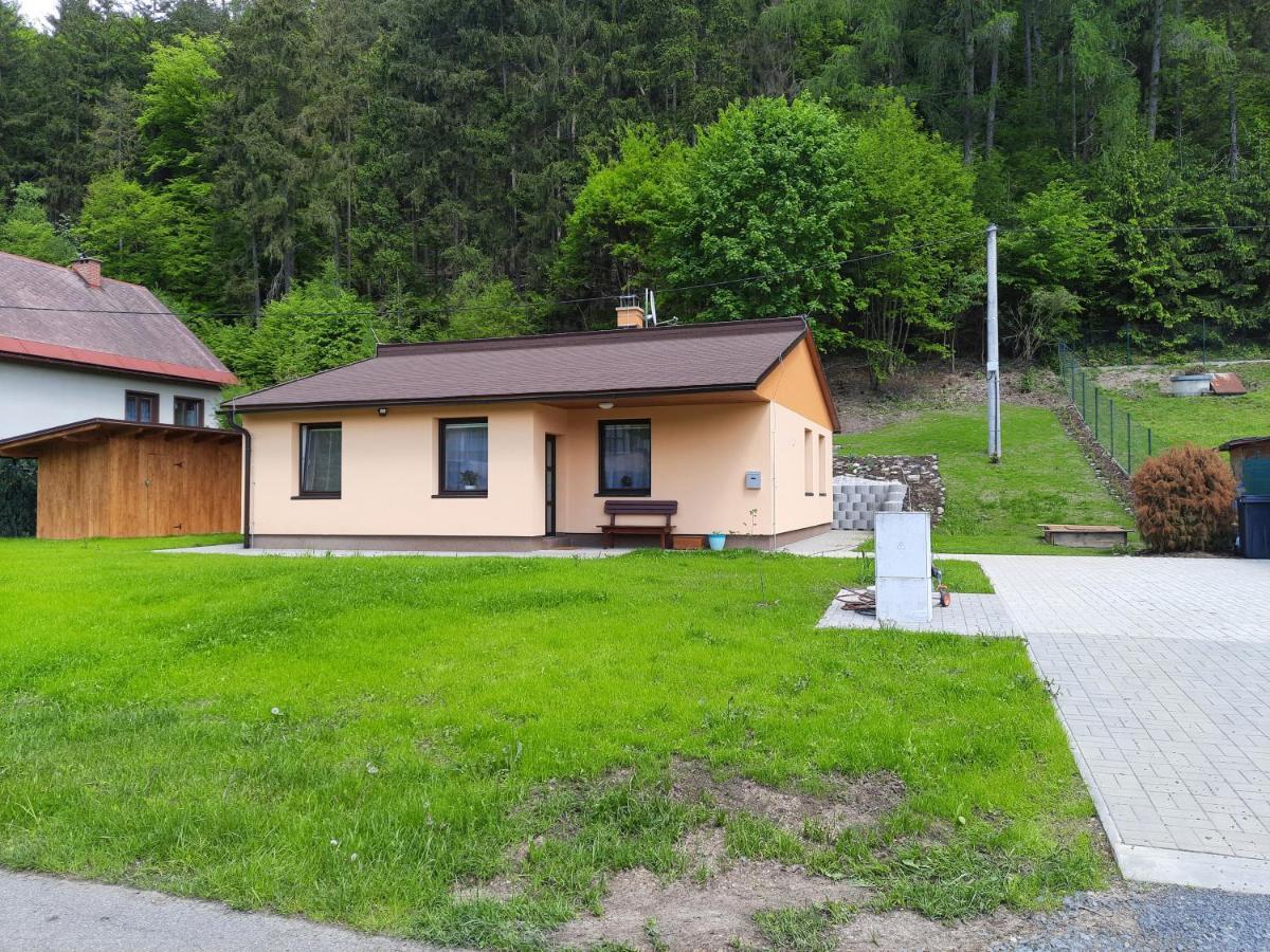 Lisny 105 Cely Novy Dum Se Zahradou U Jizery A Cyklo-Stezky New House By Jizera River And Bicycle Path Zelezny Brod Экстерьер фото