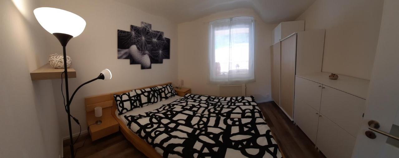 Lisny 105 Cely Novy Dum Se Zahradou U Jizery A Cyklo-Stezky New House By Jizera River And Bicycle Path Zelezny Brod Экстерьер фото